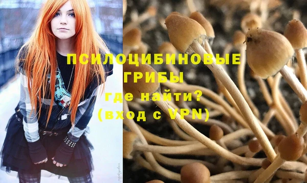 гидра Бородино