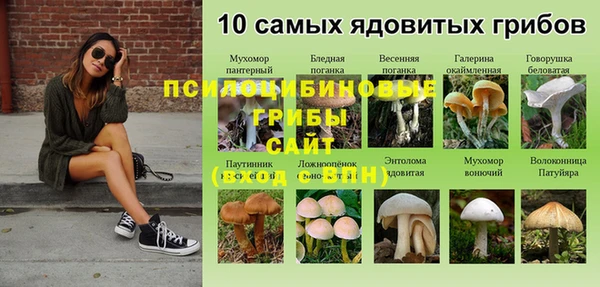 соль курить ск Пересвет