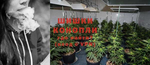 молекула духа Покров