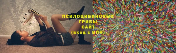 гидра Бородино