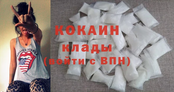 гидра Бородино