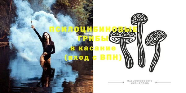 молекула духа Покров