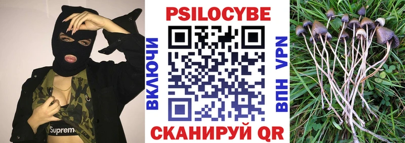 Галлюциногенные грибы Psilocybine cubensis Будённовск