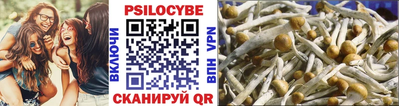 Галлюциногенные грибы GOLDEN TEACHER Будённовск